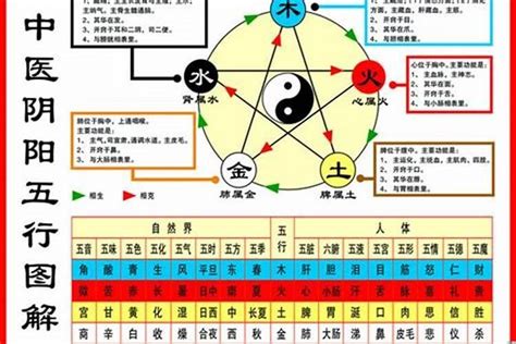 1948年屬什麼|1948年属鼠的是什么命，48年出生的鼠五行属什么